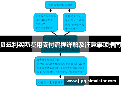 贝兹利买断费用支付流程详解及注意事项指南