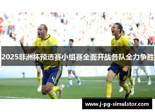 2025非洲杯预选赛小组赛全面开战各队全力争胜