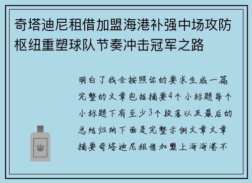 奇塔迪尼租借加盟海港补强中场攻防枢纽重塑球队节奏冲击冠军之路