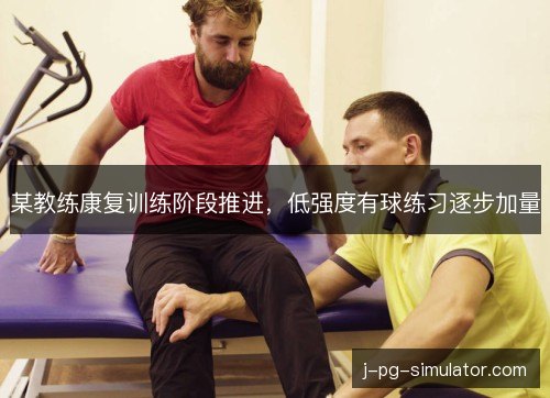某教练康复训练阶段推进，低强度有球练习逐步加量